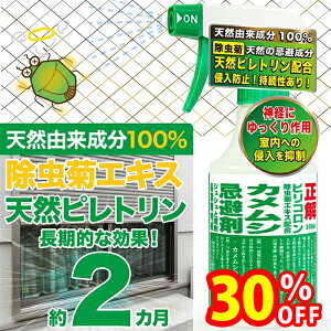 yX[p[SALEŎg!500~OFFN[|zz!zJV  Xv[ sR 300ml { VRR ΍ ߂ނ x_ O