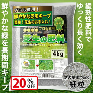 yX[p[SALEŎg!500~OFFN[|zz!zŐ 엿 4kg { ח Ɍ St eBtg 엿 O[ Ɩp