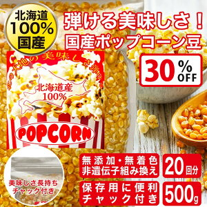 yX[p[SALEŎg!500~OFFN[|zz!zkCY |bvR[p  Y 500g `qg݊Ȃ Y Ƃ낱 H@ Ɩp  َq 