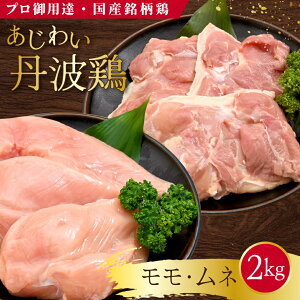 { 2kg 킢Og{  ނ˓ MpyzɌY Y { ① e ^pbN VN wV[ ς g `LJc Xe[L BBQ  { Ɩp 