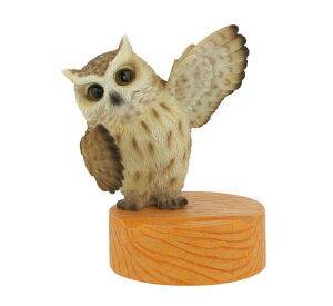 X}zX^h Ck lR u^ tNE Aj}̃X}zX^h QY-218