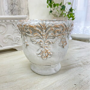 yzAؔ  Aؔ Zg y_N AJCbN~j|bg L AeB[N16cm×