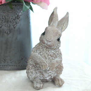 yzAeB[N G WAeB[NAj} 肤 u 11cm×s12cm×19.5cm