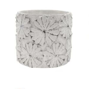 yX[p[Z[ N[|zzIz yzAؔ  킢 t`X^C i` AeB[N 񂹐A zCgyJibN }VF V_[ zCgz