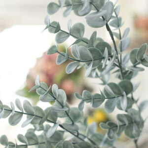   CeAO[ tFCNO[y[J/O[ 1{z68cm