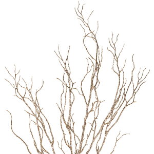 観葉植物 枝の人気商品 通販 価格比較 価格 Com 観葉植物 枝の人気商品 通販 価格比較 価格 Com