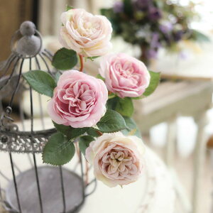  o eB[[Y ԃCeA AeB[N KN 1{ Ԍa6cm×30cm(1{j