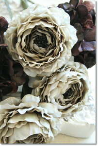  p[c iLX AeB[N CeA  iLX(O[1{)