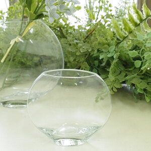 ガラス 丸型 花瓶 通販 価格比較 価格 Com ガラス 丸型 花瓶 通販 価格比較 価格 Com
