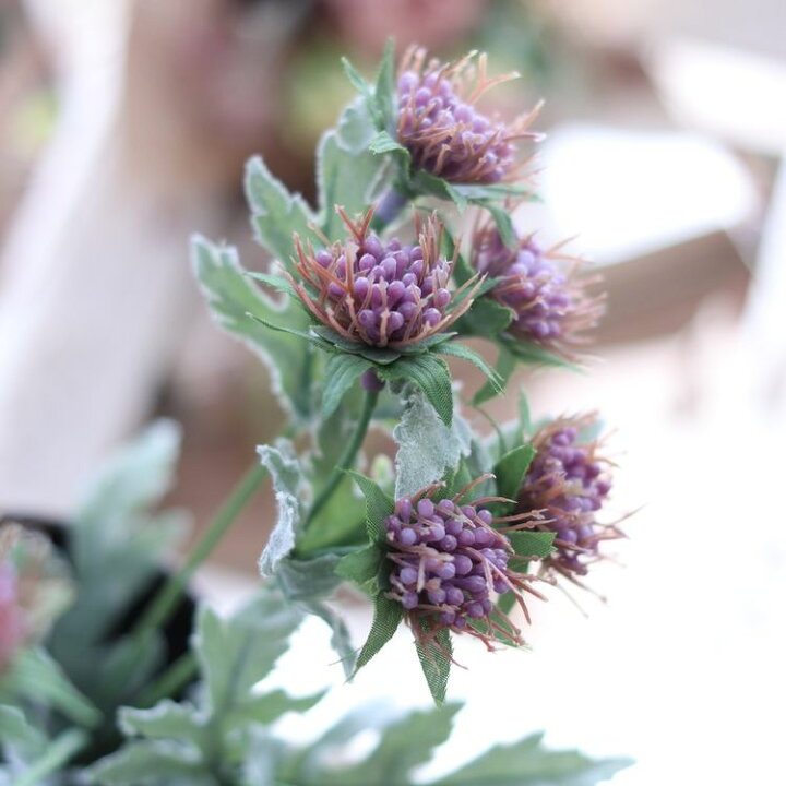 楽天市場 造花 小花 可愛い インテリアグリーンステイメン 3色 全長43cm 1本 アンティーク雑貨 Cheerful