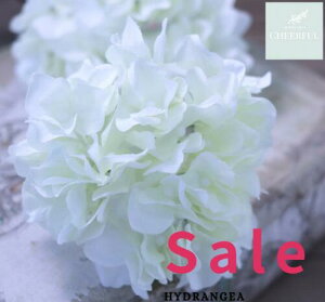  AWTC z CeA AeB[NG ʃp[c tFCNO[y MAGIQ AXnChWA N[O[zԖ[12×23cm 115ijח\