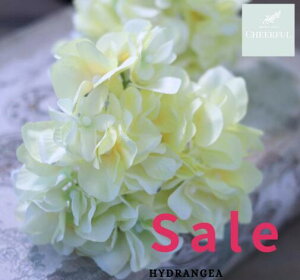  AWTC z CeA AeB[NG ʃp[c tFCNO[y MAGIQ AXnChWA CG[zԖ[12×23cm 115ijח\