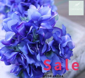  AWTC z CeA AeB[NG ʃp[c tFCNO[y MAGIQ AXnChWA u[zԖ[12×23cm 115ijח\