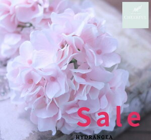  AWTC z CeA AeB[NG ʃp[c tFCNO[y MAGIQ AXnChWA zCgsNzԖ[12×23cm