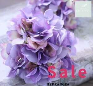  AWTC z CeA AeB[NG ʃp[c tFCNO[y MAGIQ AXnChWA x_[zԖ[12×23cm