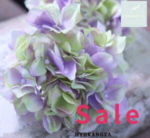  AWTC z CeA AeB[NG ʃp[c tFCNO[y MAGIQ AXnChWA x_[O[zԖ[12×23cm