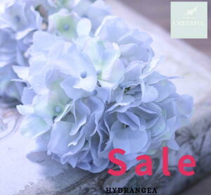  AWTC z CeA AeB[NG ʃp[c tFCNO[y MAGIQ AXnChWA OCu[zԖ[12×23cm 115ijח\