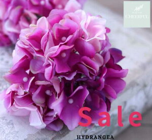  AWTC z CeA AeB[NG ʃp[c tFCNO[y MAGIQ AXnChWA I[LbhzԖ[12×23cm