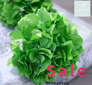  AWTC z CeA AeB[NG ʃp[c tFCNO[y MAGIQ AXnChWA CzԖ[12×23cm