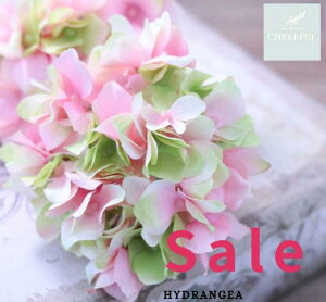  AWTC z CeA AeB[NG ʃp[c tFCNO[y MAGIQ AXnChWA sNO[zԖ[12×23cm