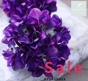  AWTC z CeA AeB[NG ʃp[c tFCNO[y MAGIQ AXnChWA p[vzԖ[12×23cm