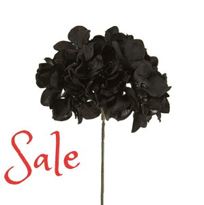  AWTC z CeA AeB[NG ʃp[c tFCNO[y MAGIQ AXnChWA ubNzԖ[12×23cm 115ijח\