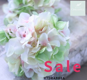  AWTC z CeA AeB[NG ʃp[c tFCNO[y MAGIQ AXnChWA N[sNO[zԖ[12×23cm 115ijח\