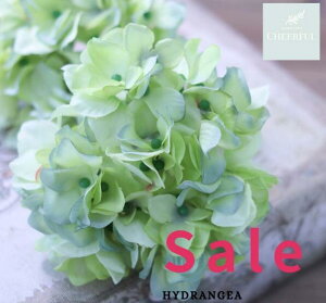  AWTC z CeA AeB[NG ʃp[c tFCNO[y MAGIQ AXnChWA CgO[zԖ[12×23cm