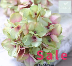  AWTC z CeA AeB[NG ʃp[c tFCNO[y MAGIQ AXnChWA O[}[uzԖ[12×23cm 115ijח\