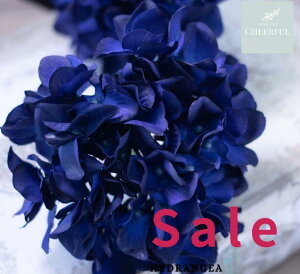  AWTC z CeA AeB[NG ʃp[c tFCNO[y MAGIQ AXnChWA _[Nu[zԖ[12×23cm