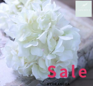  AWTC z CeA AeB[NG ʃp[c tFCNO[y MAGIQ AXnChWA AC{[zԖ[12×23cm