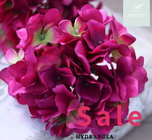  AWTC z CeA AeB[NG ʃp[c tFCNO[y MAGIQ AXnChWA r[eBzԖ[12×23cm