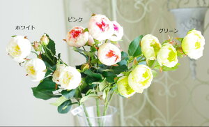  KN [Y AeB[N CeA tFCNO[ A[eBtCVt[yXEB[g[Yz Ԍa4`5×59cm