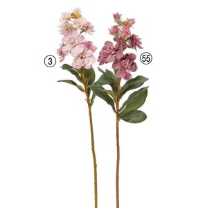  p[c AeB[N CeAy XgbNz[8×36cm