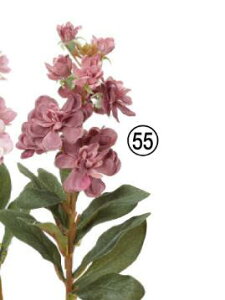  p[c AeB[N CeAy XgbNz[8×36cm