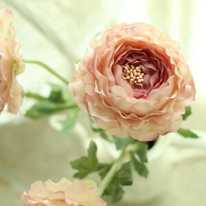  p[c iLX AeB[N CeA  iLX([un1{)