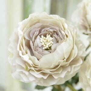 AeB[N G  iLX ϗtA CeA  A[gt[y iLX(OCp[v)z