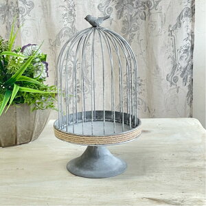 yzAeB[NG Jo[  vcP[Wyo[hP[W&gC OCz16.5×30cm