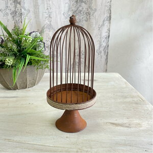 yzAeB[NG Jo[  vcP[Wyo[hP[W&gC XeBuEz13×30cm