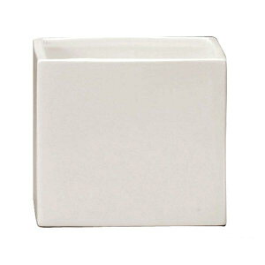 yzԕr  t[x[X Ԋ XNGAVvx[XyJ[x[XL[uMz8×s8×7.5cm
