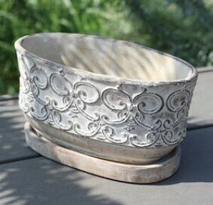 yX[p[Z[ N[|zzIz yzAeB[NG Aؔ Zg \[T[tyRxgK[f NEI[o|bg Lz23×s12×12.5cm