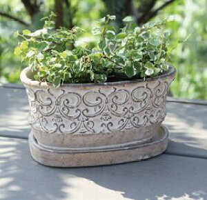 yX[p[Z[ N[|zzIz yzAeB[NG Aؔ Zg \[T[tyRxgK[f NEI[o|bg Sz19×s10×9.5cm