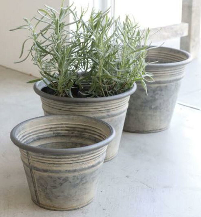 楽天市場】【送料無料】植木鉢 フラワーポット 観葉植物 グリーン 