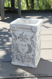 yz Aؔ AeB[N K[f G݁yRxgK[f NiXEXNGA|bgSz