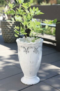 yz Aؔ AeB[N K[f G݁yRxgK[f NiXEO|bgz16×26cm