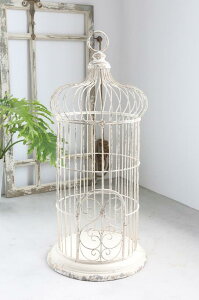 yX[p[Z[ N[|zzIz yzyRxgK[f uEg[P[WzAeB[N Vr[VbN  vcP[W G 38×85cm