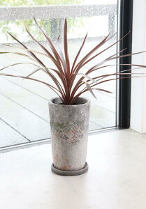 yX[p[Z[ N[|zzIz yzAeB[NG Aؔ Zg \[T[tyRxgK[f }[NtAEg[|bg z