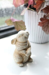 yzK[f fBXvC AeB[NG ETM CeA uyRxgK[f No[rbgz6.8×s6.9×11.5cm