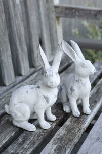 yzK[f fBXvC AeB[NG ETM uyRxgK[f K[frbgEw}m 2_A\[gz16×s8.5×22`22.5cm