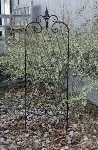 yzAeB[N K[fG X^hyRxgK[f oXEACAgX Lz39.5×s1×127.5cm